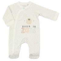 All In Ones/Sleepsuits (99)